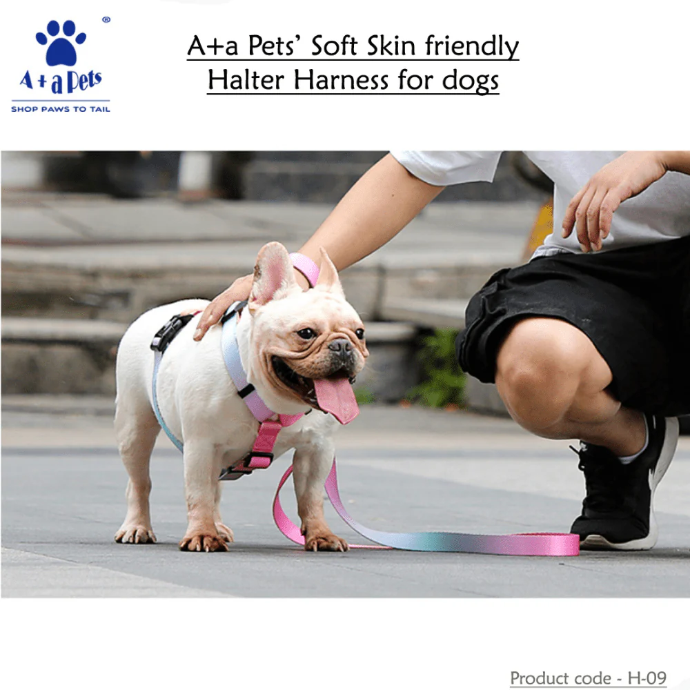 A Plus A Pets Skin Friendly Gradient Design Harness for Dogs and Cats (Pink) - Image 3
