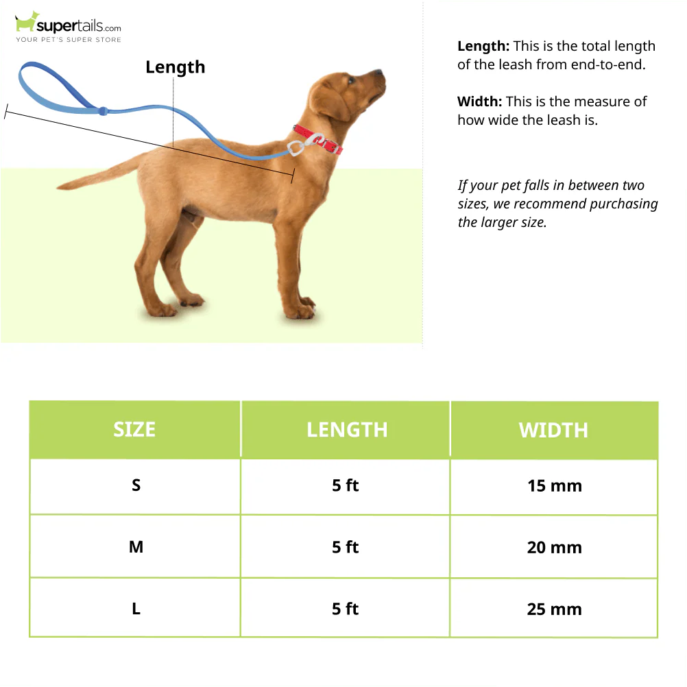 A Plus A Pets Skin Friendly Gradient Design Leash for Dogs (5ft, Green) - Image 2