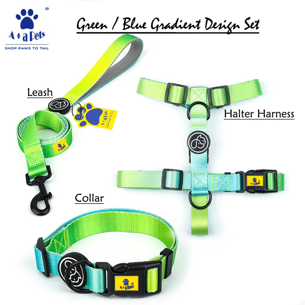 A Plus A Pets Skin Friendly Gradient Design Leash for Dogs (5ft, Green) - Image 4