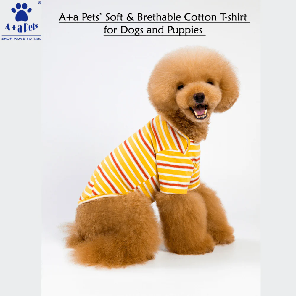 A Plus A Pets Soft Cotton T Shirts for Dogs (Yellow) - Image 3