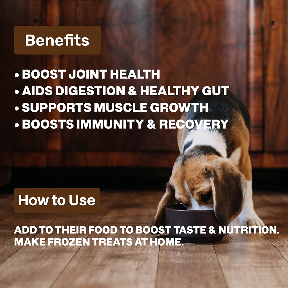 Absolut Pet Chicken Bone Broth for Dogs - Image 3