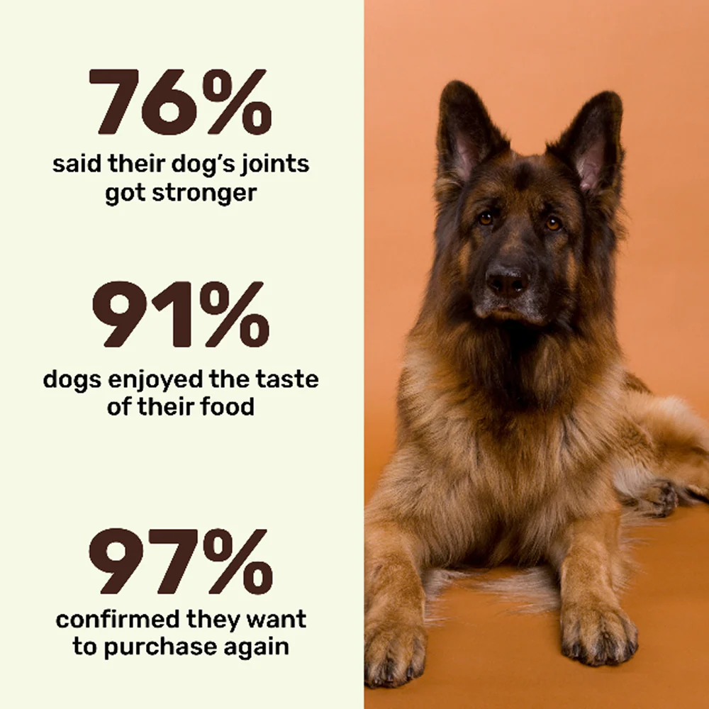 Absolut Pet Chicken Bone Broth for Dogs - Image 4
