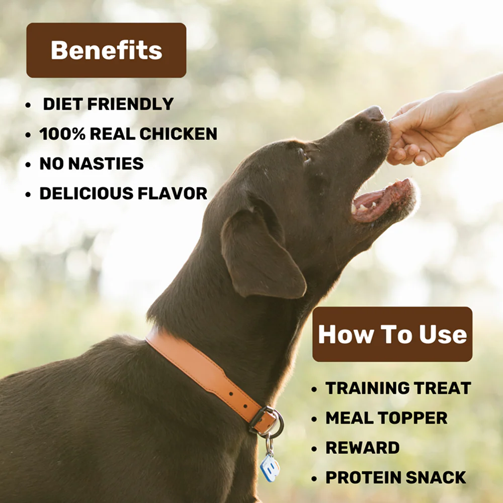 Absolut Pet High Protein Low Fat Chicken Jerky Treats for Dogs - Image 3