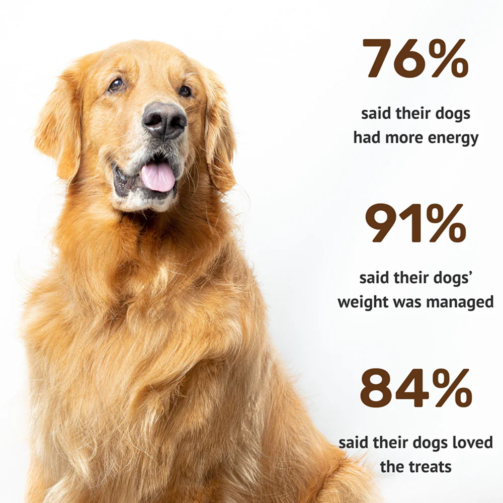 Absolut Pet High Protein Low Fat Chicken Jerky Treats for Dogs - Image 4