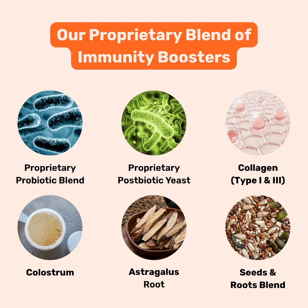 Absolut Pet Postbiotics to Boost Immunity Reduce Allergies & Improve Bioavailability Chews Dogs Treat - Image 2