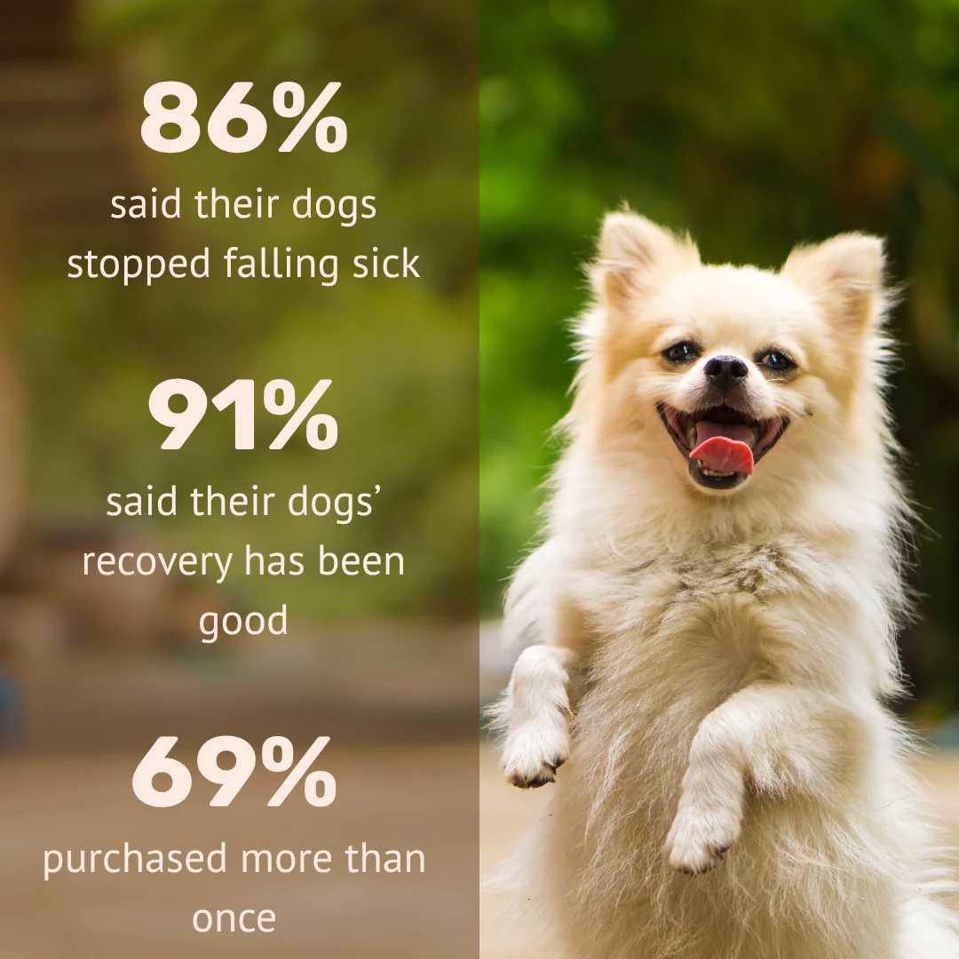 Absolut Pet Postbiotics to Boost Immunity Reduce Allergies & Improve Bioavailability Chews Dogs Treat - Image 4