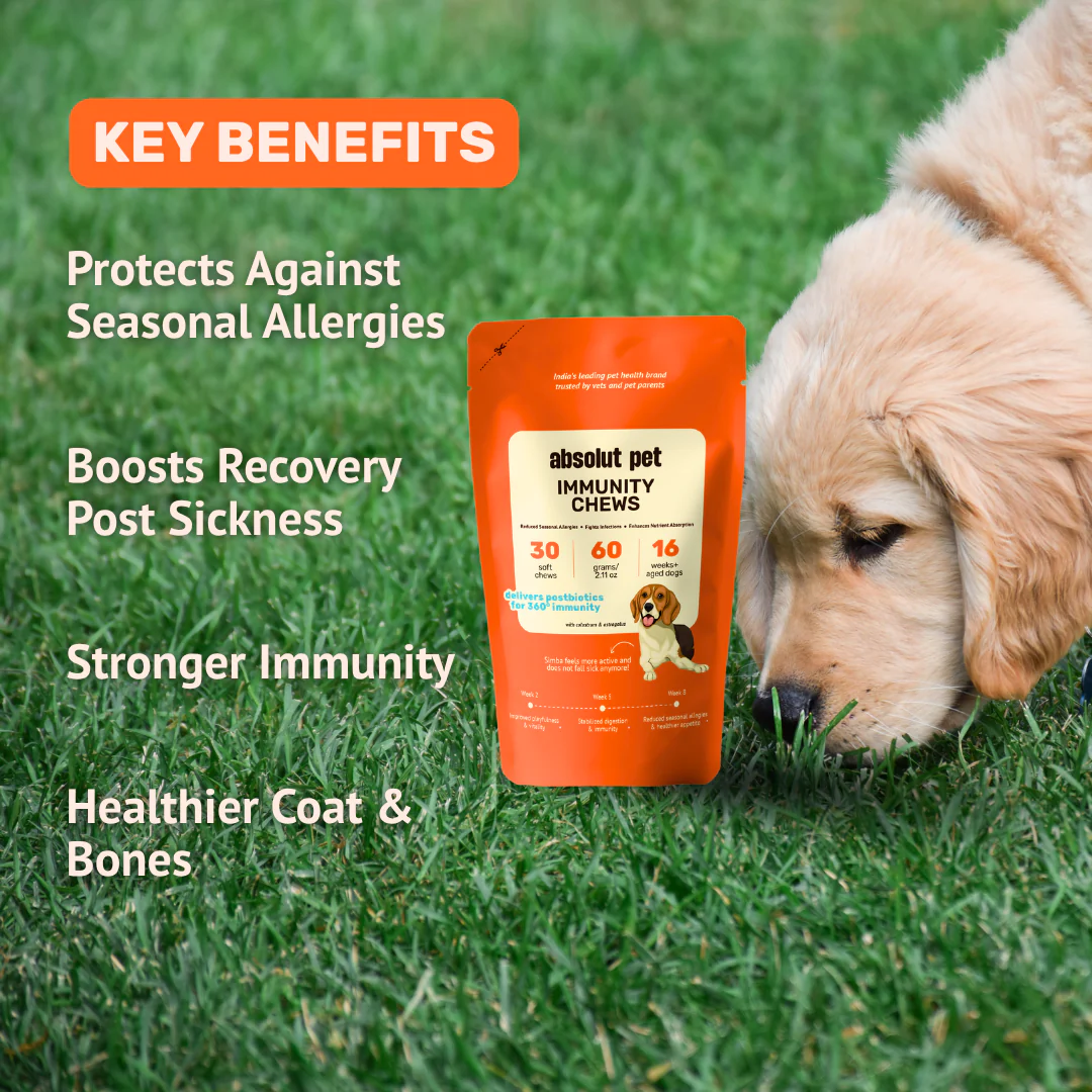 Absolut Pet Postbiotics to Boost Immunity Reduce Allergies & Improve Bioavailability Chews Dogs Treat - Image 5
