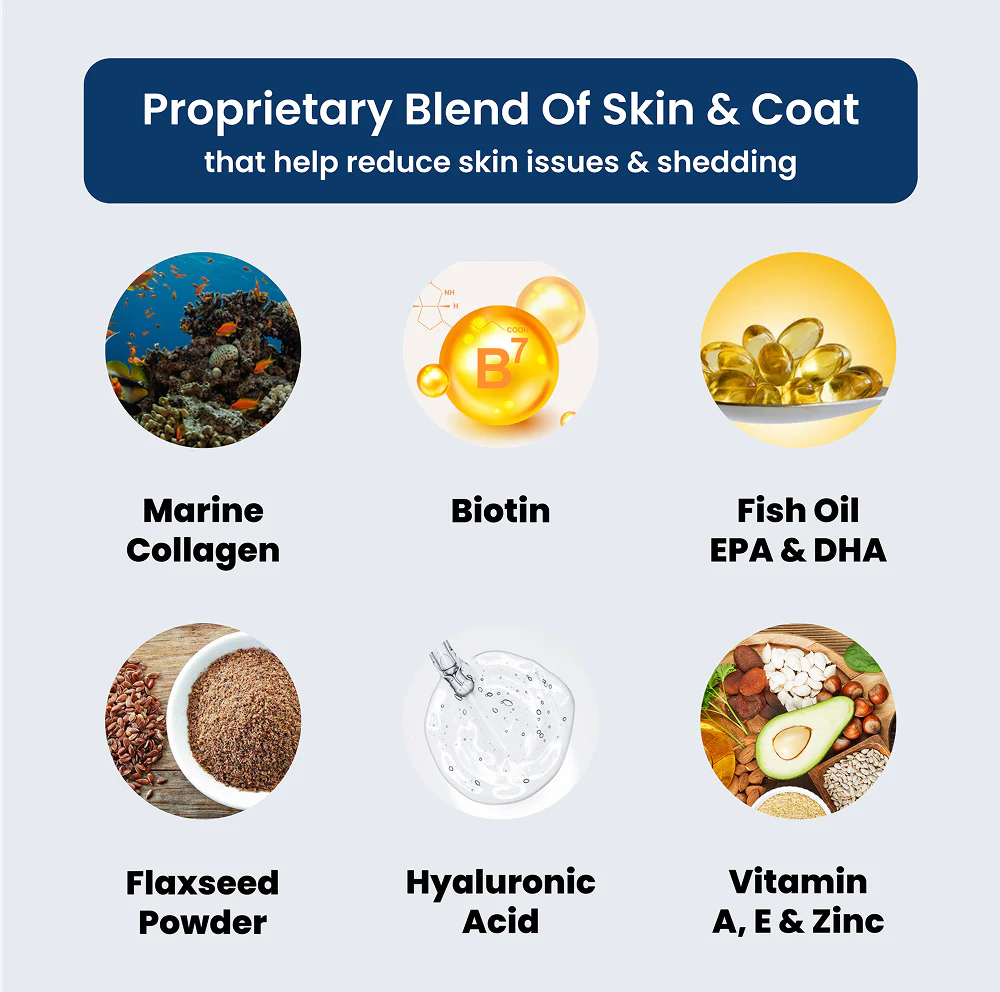 Absolut Pet Probiotics Gut Skin Coat Support Collagen and Biotin Health Dog Supplement - Image 12