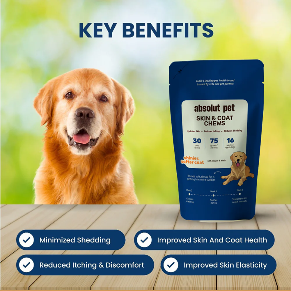 Absolut Pet Probiotics Gut Skin Coat Support Collagen and Biotin Health Dog Supplement - Image 14