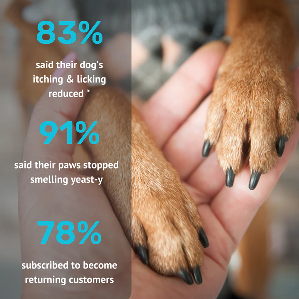 Absolut Pet Probiotics Hypoallergenic Gut Health Dog Supplement - Image 4