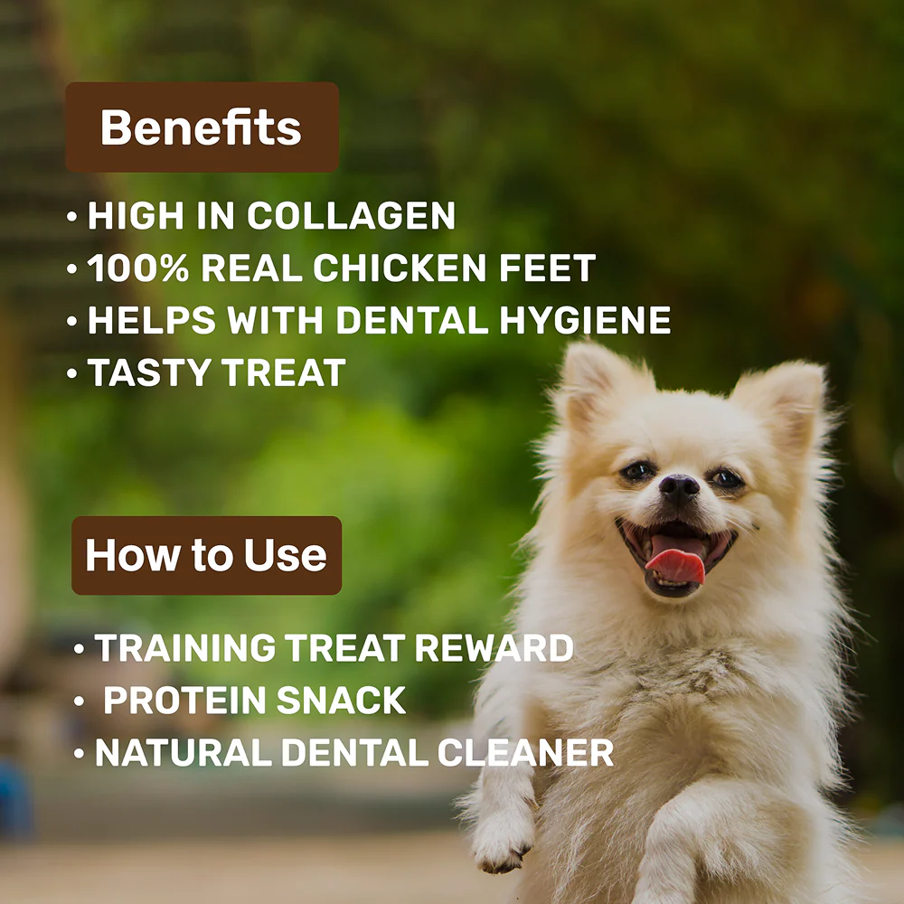 Absolut Pet Protein Bars with Dehydrated Chicken Feet Dog Treats - Image 3