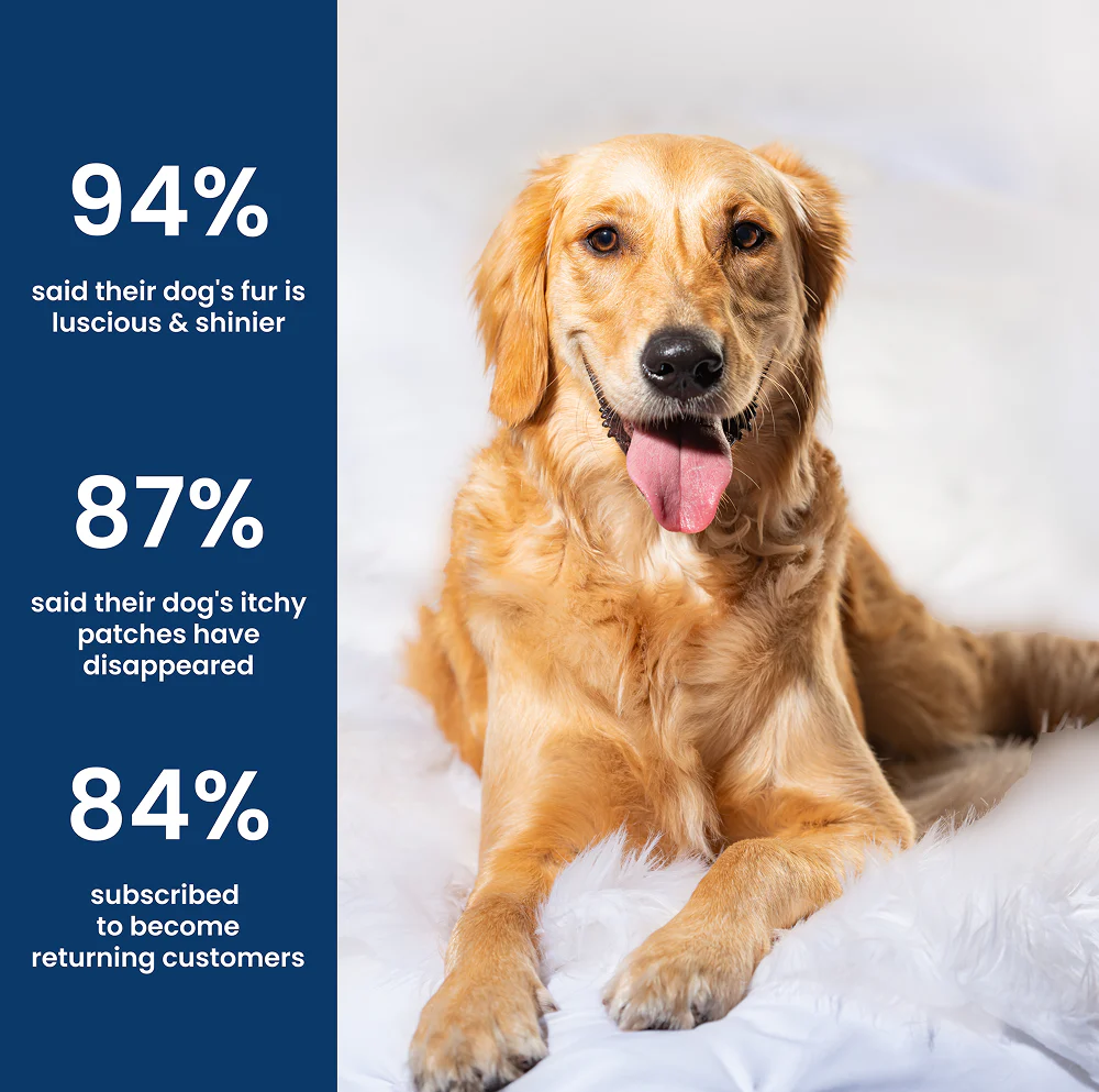 Absolut Pet Skin & Coat with Collagen and Biotin Dog Supplement - Image 3