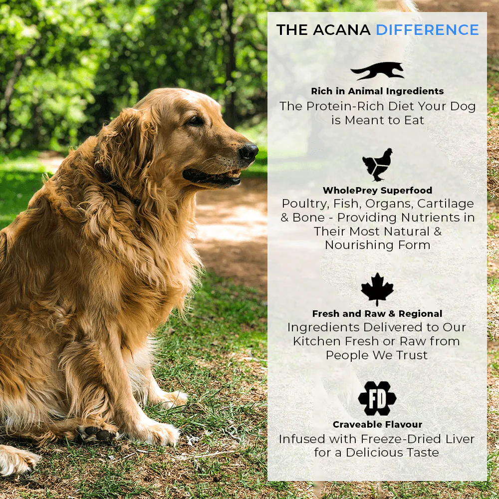 Acana Adult Large Breed Dog Dry Food - Image 7