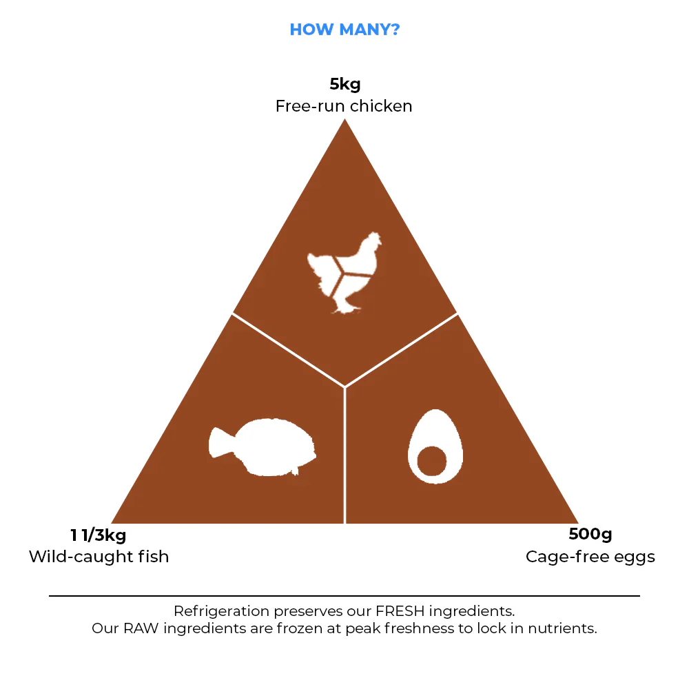 Acana Adult Large Breed Dog Dry Food - Image 3