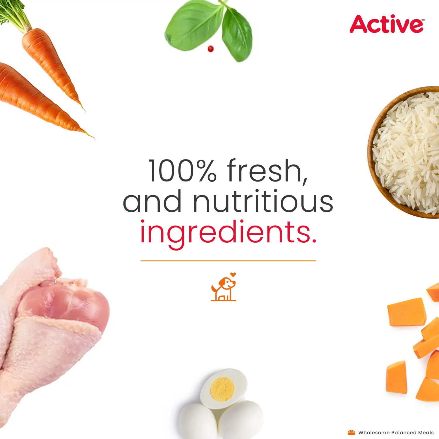 Active Chicken and Pumpkin Biryani Fresh Food For Dogs (Buy 1 Get 1) - Image 6