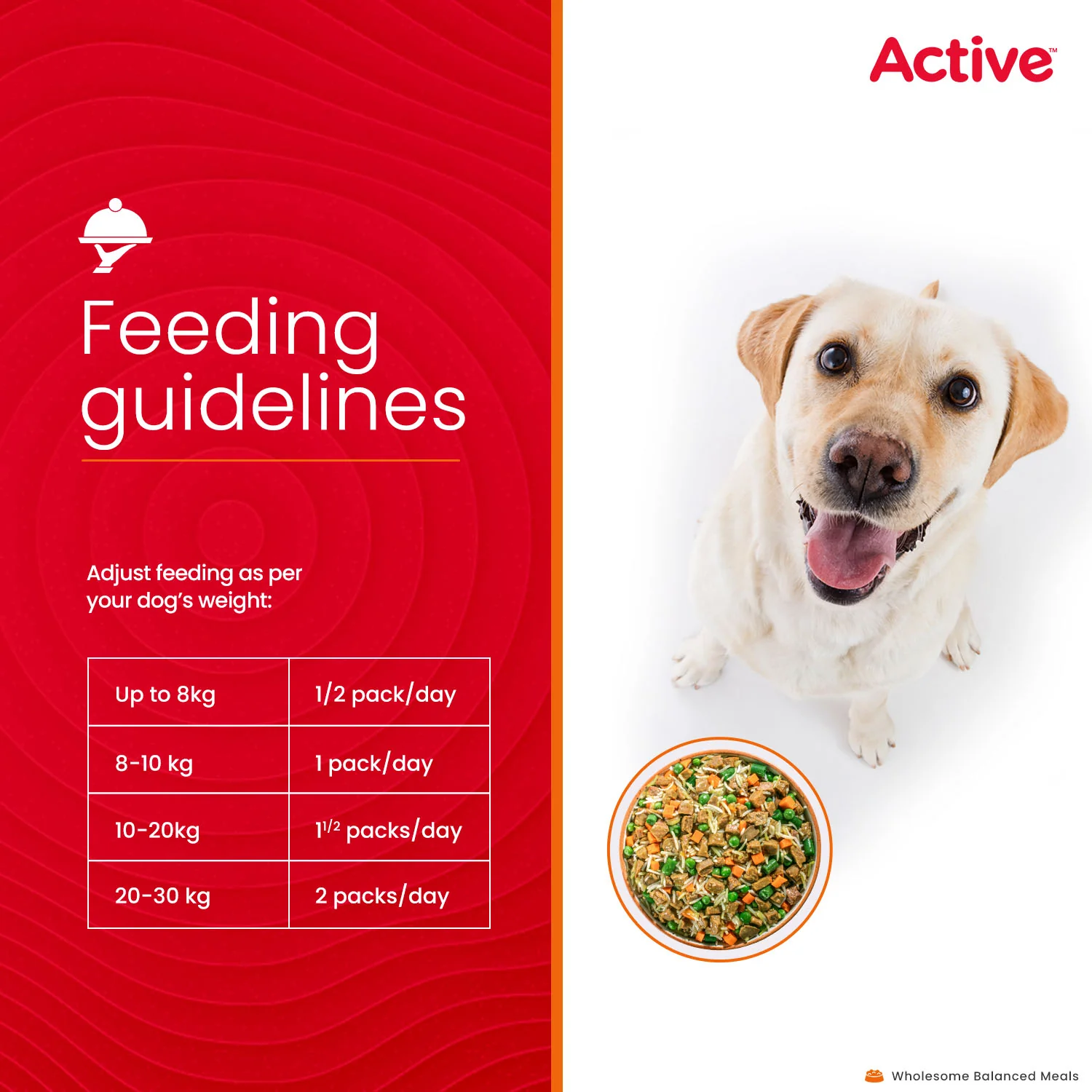 Active Chicken and Pumpkin Biryani Fresh Food For Dogs (Buy 1 Get 1) - Image 8