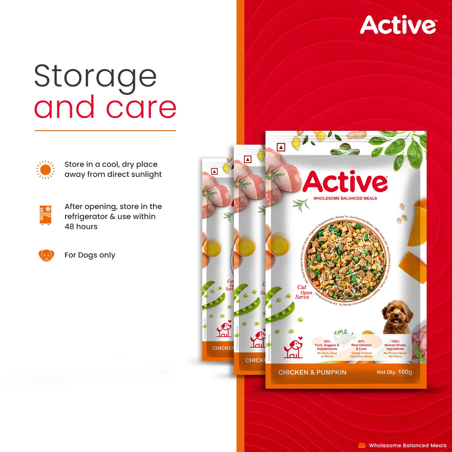 Active Chicken and Pumpkin Biryani Fresh Food For Dogs (Buy 1 Get 1) - Image 9