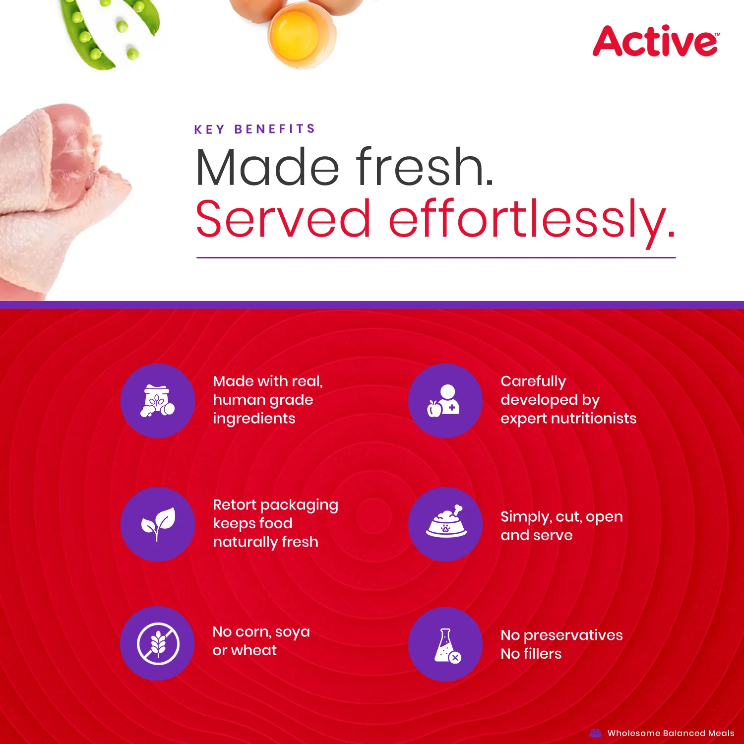 Active Chicken and Vegetable Biryani Fresh Food for Dogs (Buy 1 Get 1) - Image 6