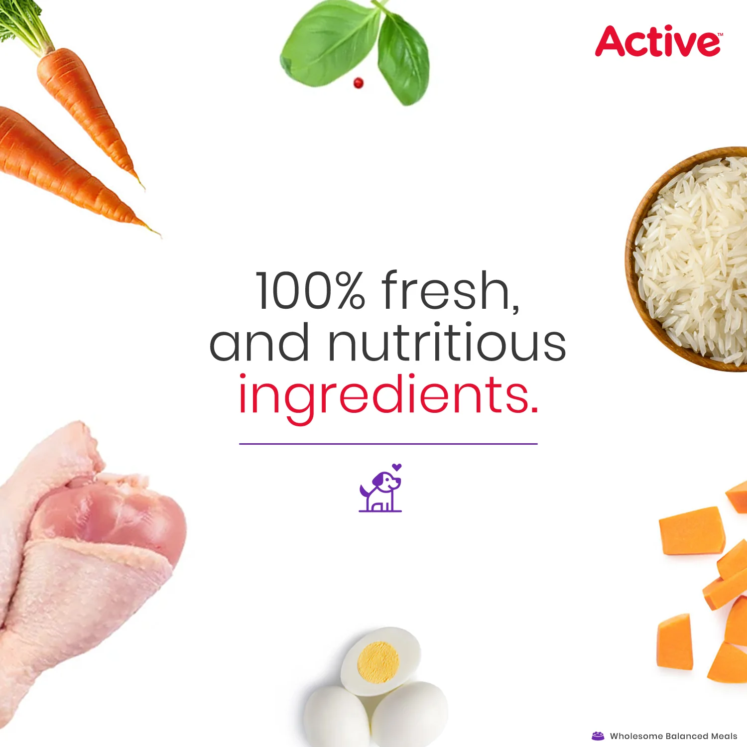 Active Chicken and Vegetable Biryani Fresh Food for Dogs (Buy 1 Get 1) - Image 7
