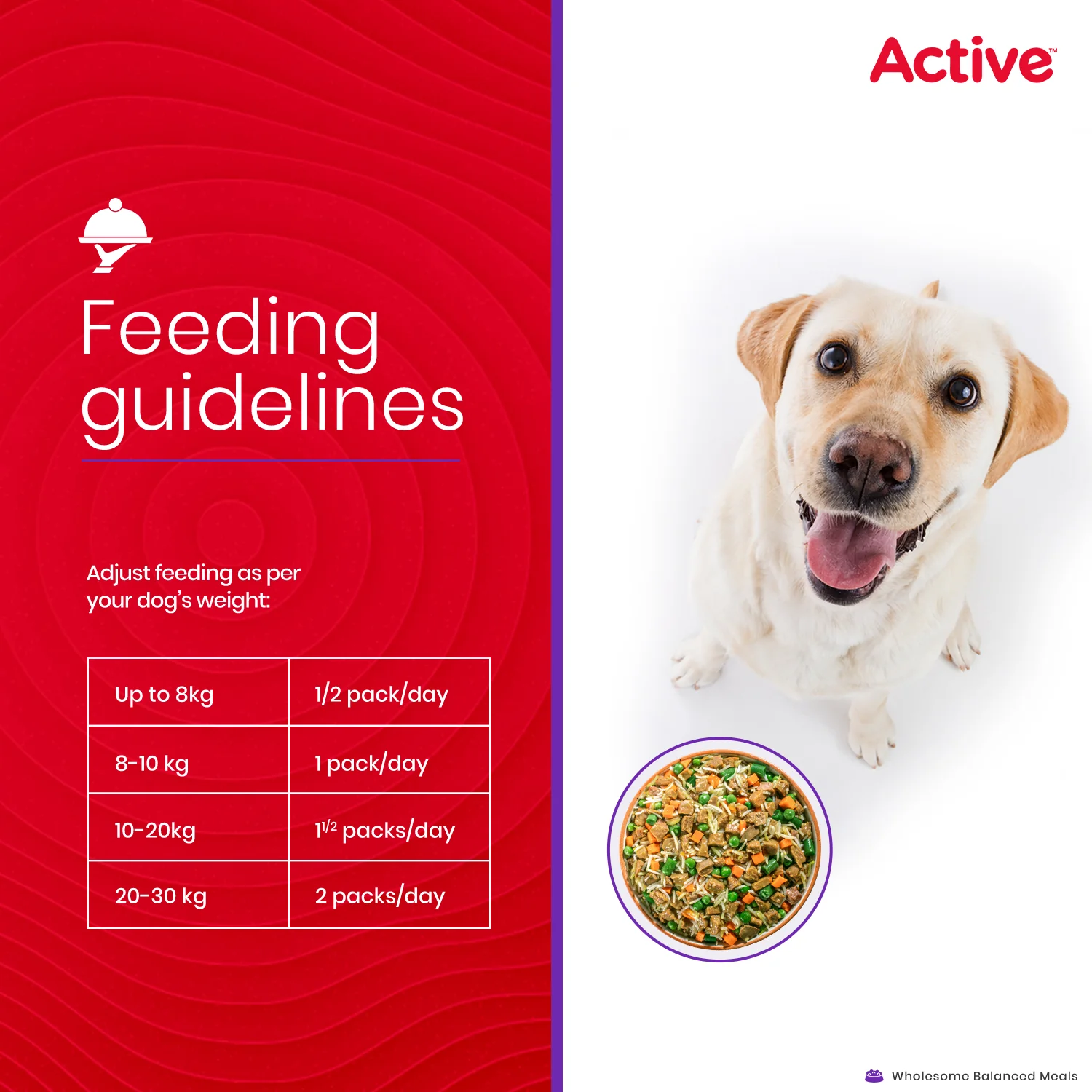 Active Chicken and Vegetable Biryani Fresh Food for Dogs (Buy 1 Get 1) - Image 9