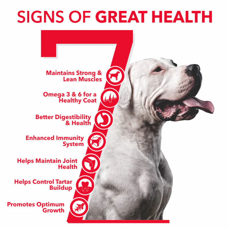 Active Chicken and Vegetables Adult Dog Dry Food (Buy 1 Get 1) - Image 10