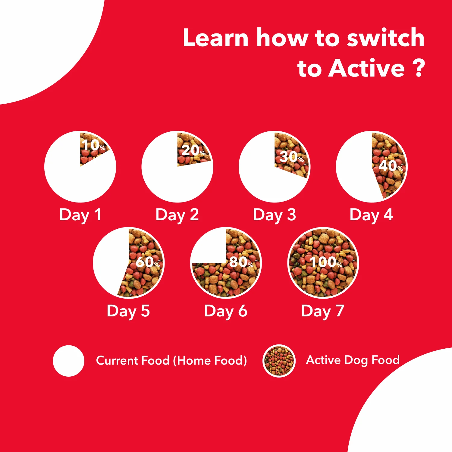 Active Chicken and Vegetables Puppy Dog Dry Food (Buy 1 Get 1) - Image 10