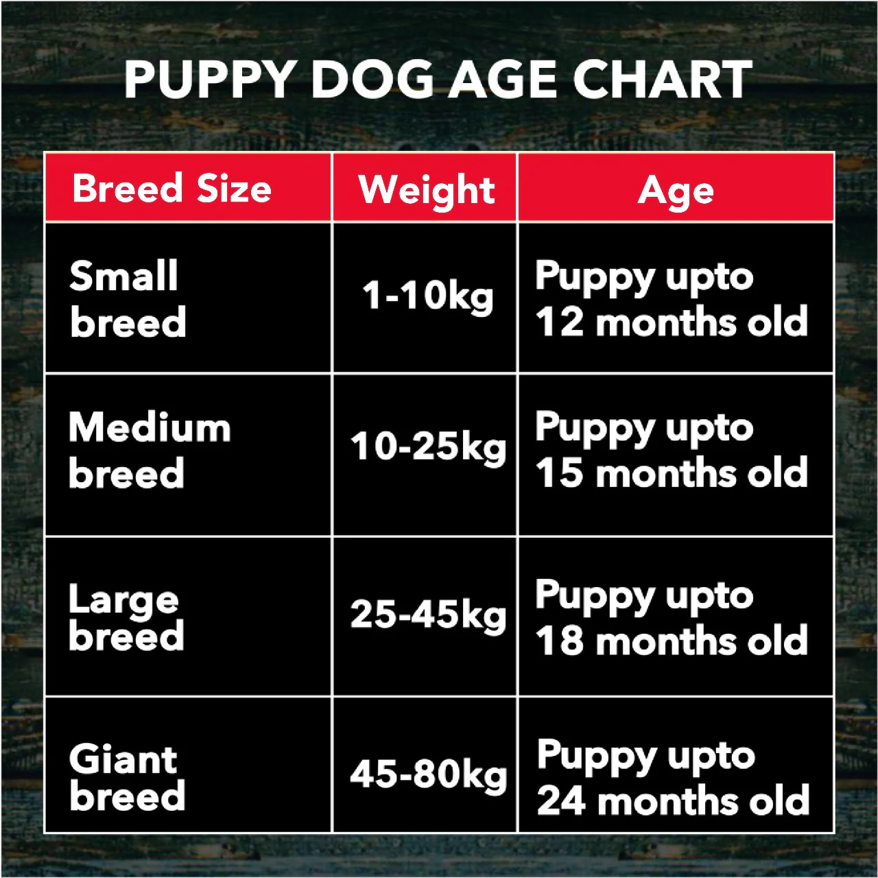 Active Chicken and Vegetables Puppy Dog Dry Food (Buy 1 Get 1) - Image 9