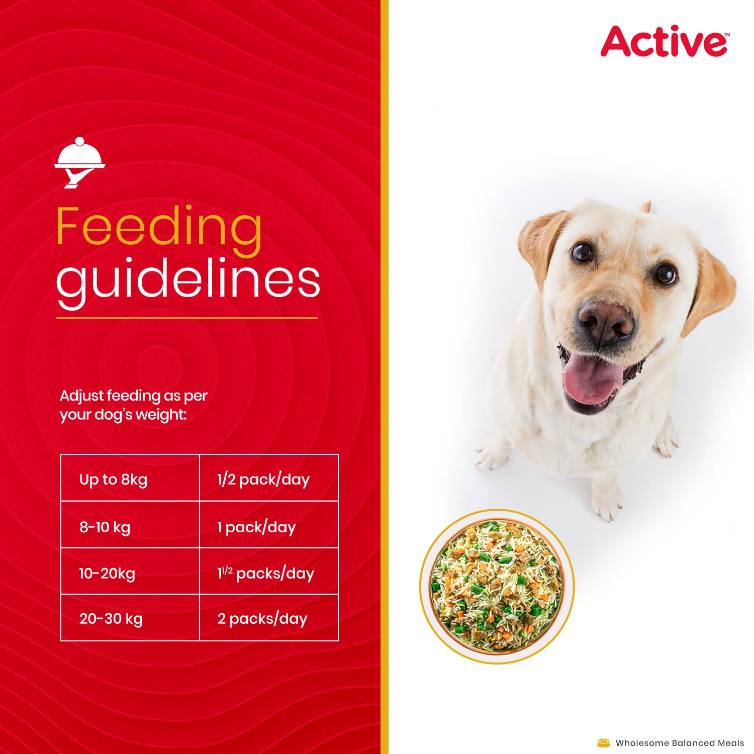 Active Chicken Biryani Fresh Food for Dogs (Buy 1 Get 1) - Image 9