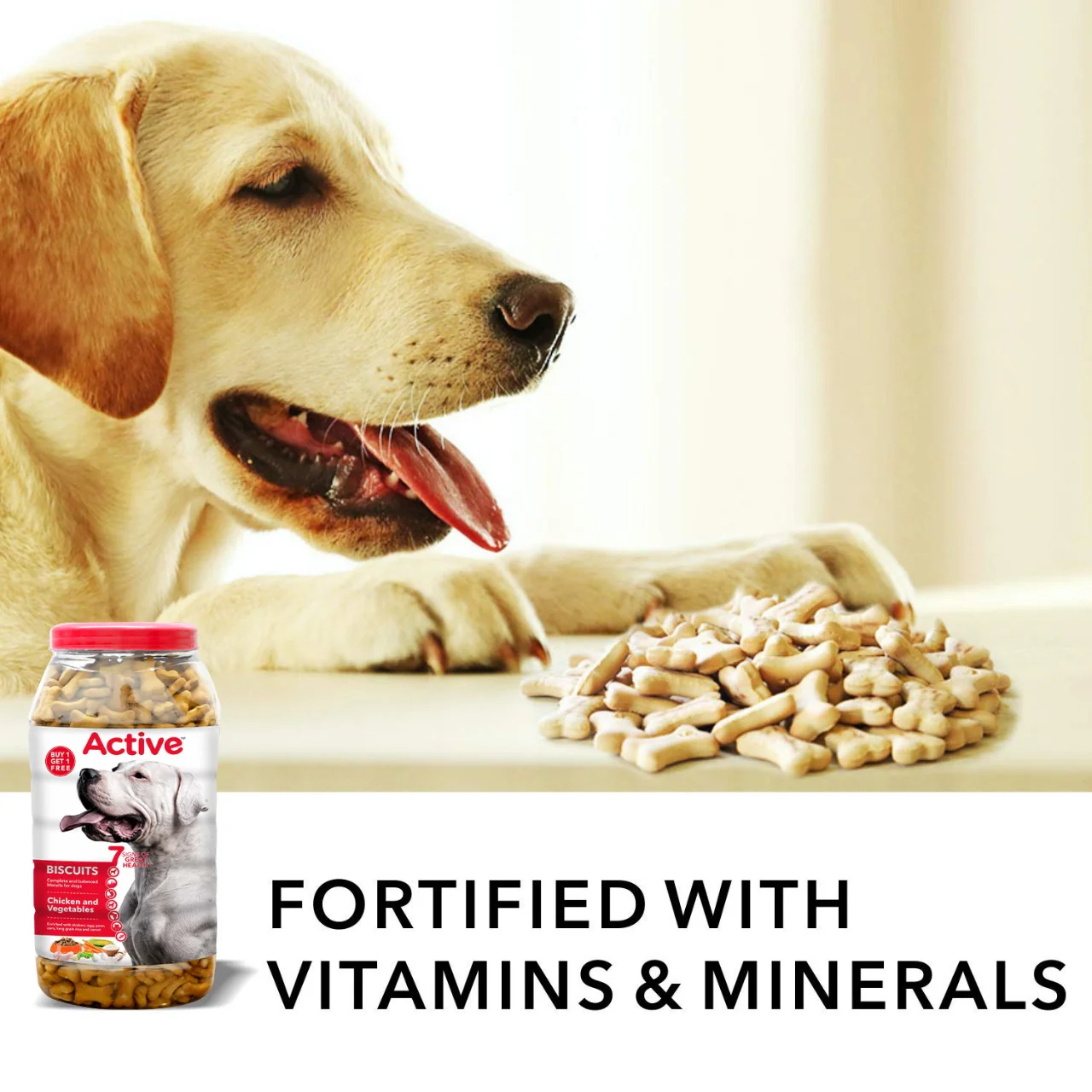 Active Chicken Flavour Biscuit Dog Treats (Buy 1 Get 1) - Image 7