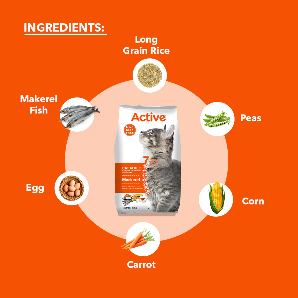 Active Mackerel Adult Cat Dry Food (Buy 1 Get 1) - Image 5
