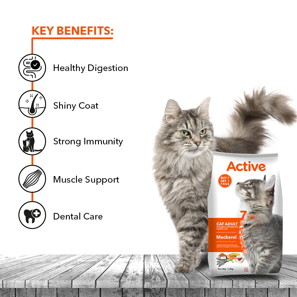 Active Mackerel Adult Cat Dry Food (Buy 1 Get 1) - Image 7
