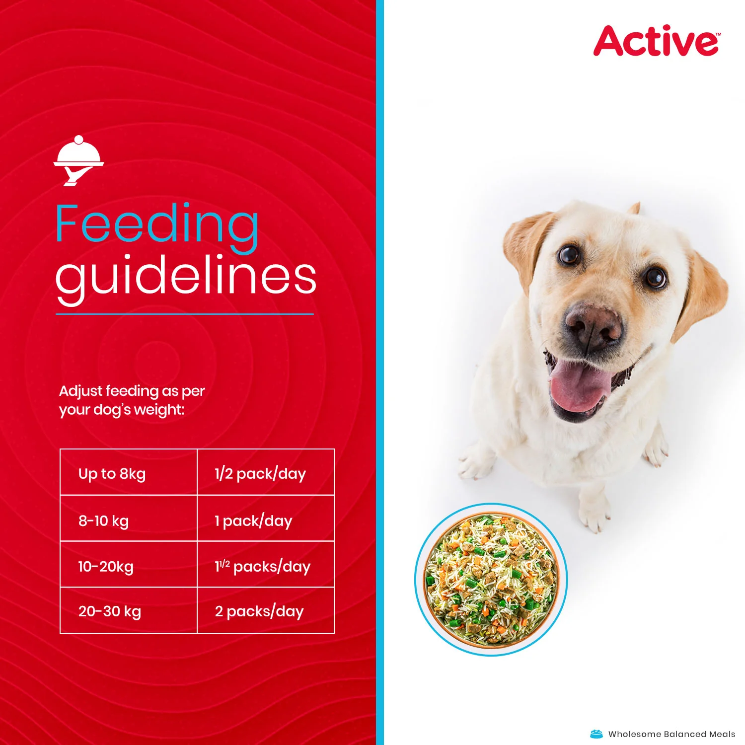 Active Mutton Biryani Fresh Food for Dogs (Buy 1 Get 1) - Image 7