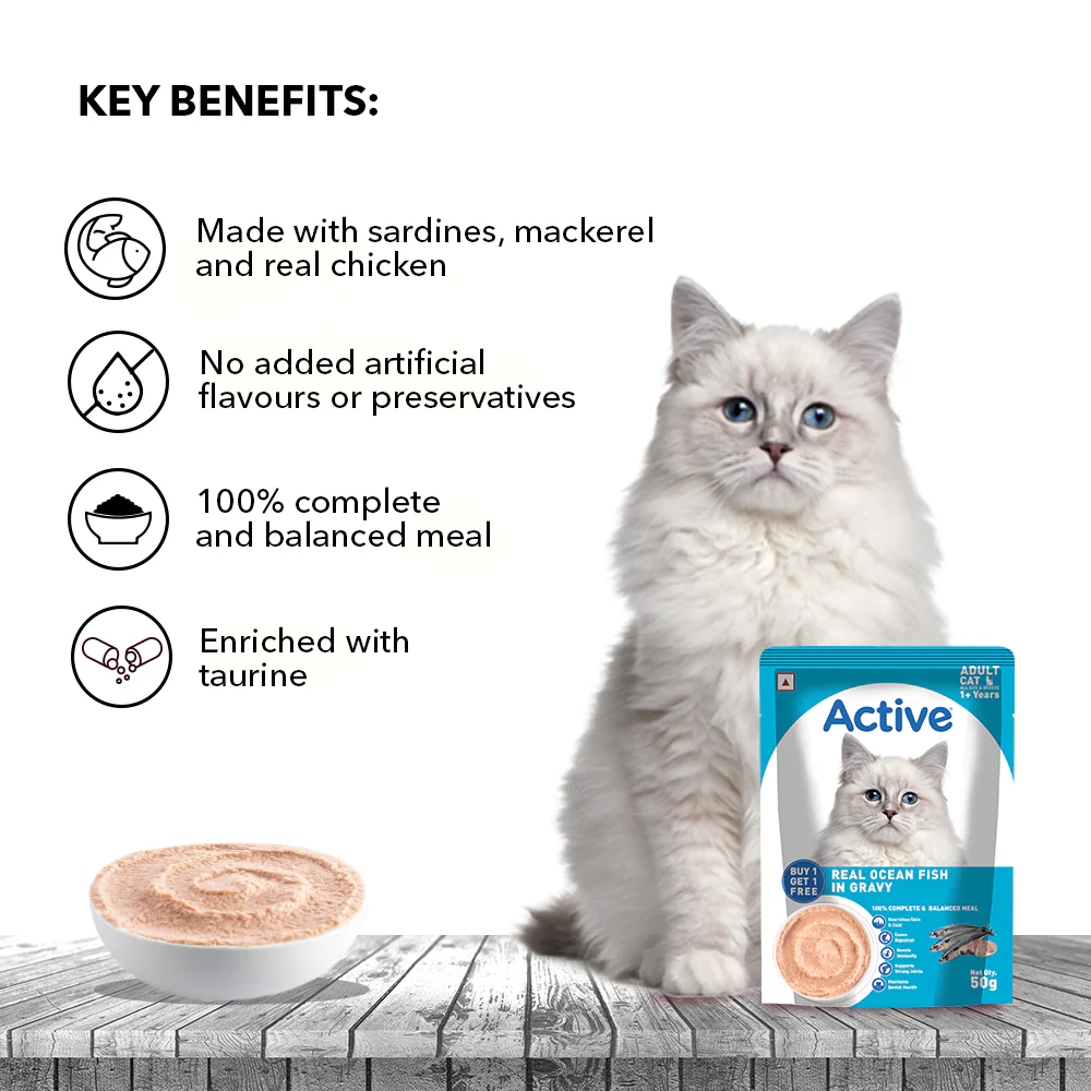 Active Ocean Fish in Gravy Adult Cat Wet Food (Buy 1 Get 1) - Image 6