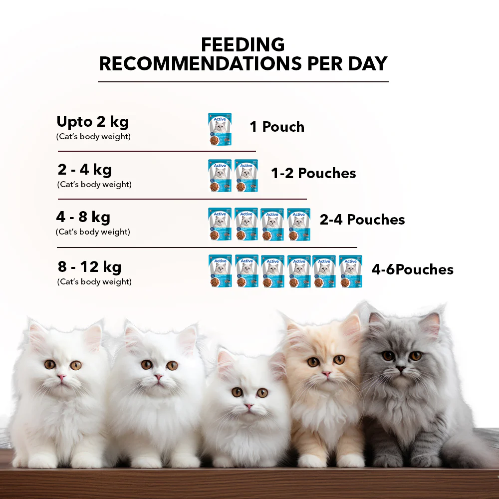 Active Ocean Fish in Gravy Adult Cat Wet Food (Buy 1 Get 1) - Image 7