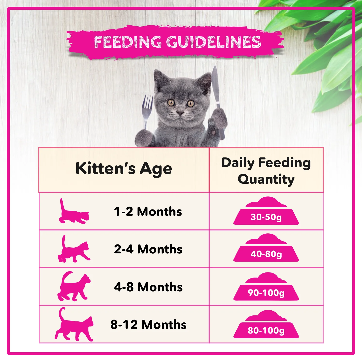 Active Ocean Fish Kitten Cat Dry Food (Buy 1 Get 1) - Image 5