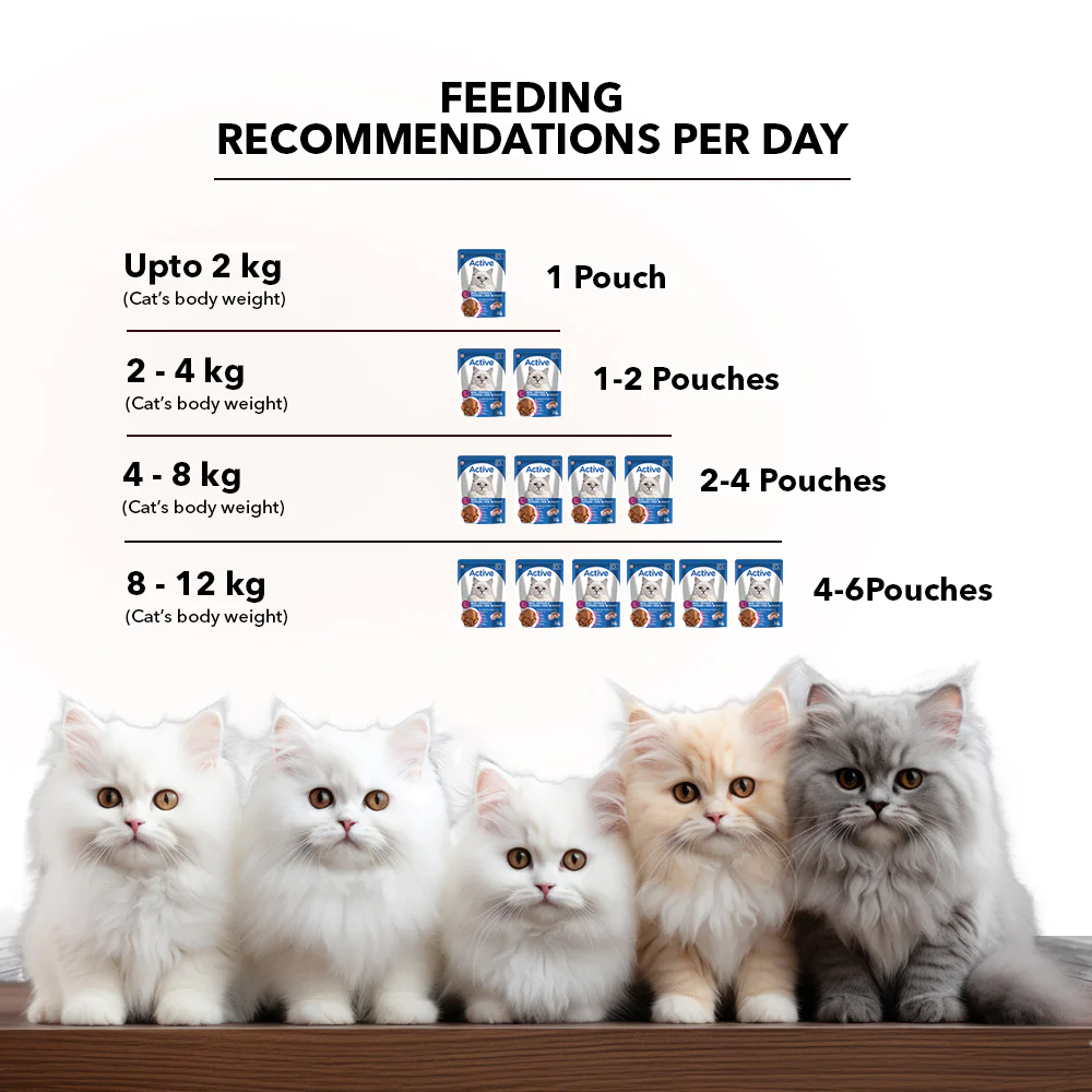 Active Real Chicken & Chicken Liver in Gravy Adult Cat Wet Food (Buy 1 Get 1) - Image 5
