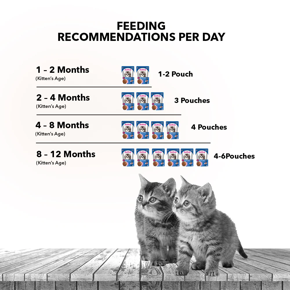 Active Real Chicken & Chicken Liver in Gravy Kitten Cat Wet Food (Buy 1 Get 1) - Image 6
