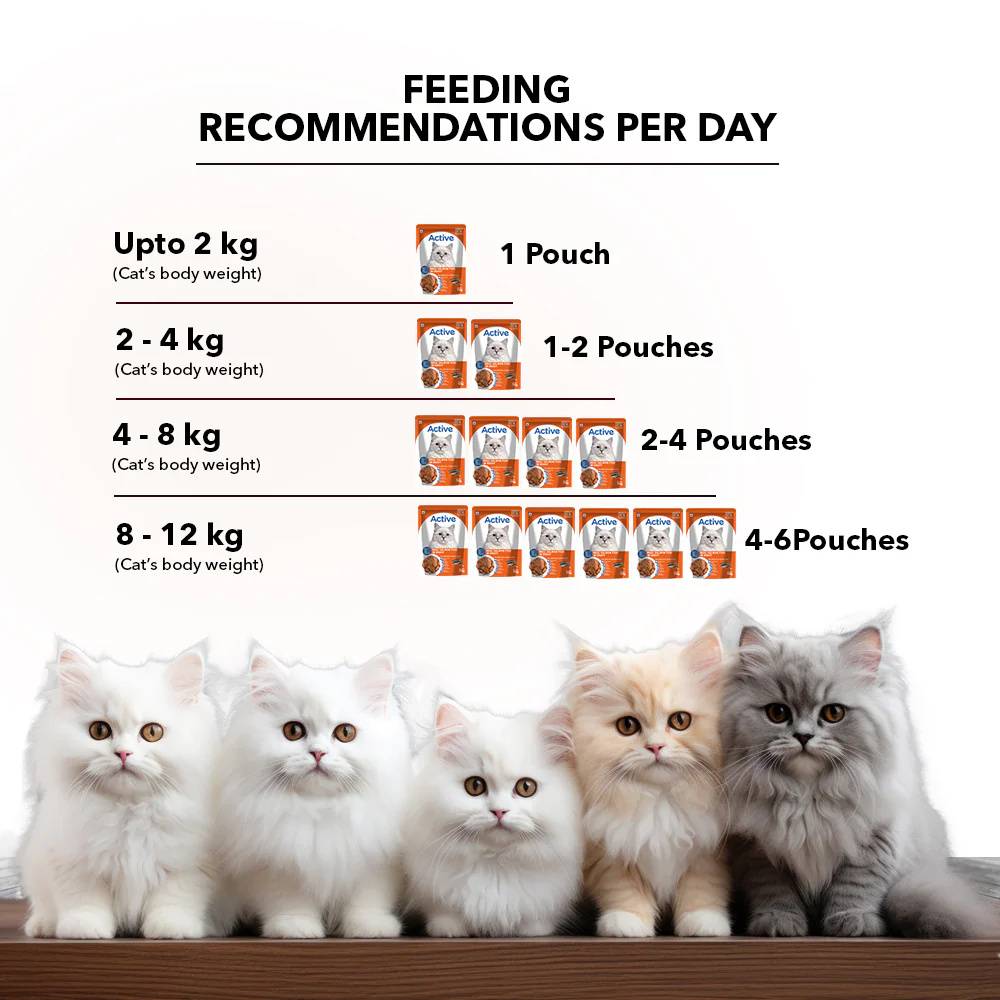 Active Real Salmon Fish in Gravy Adult Cat Wet Food (Buy 1 Get 1) - Image 7