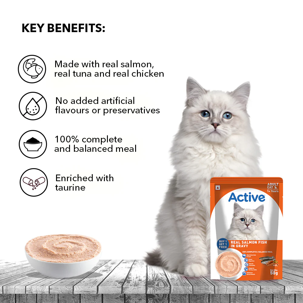Active Real Salmon Fish in Gravy Adult Cat Wet Food (Buy 1 Get 1) - Image 9