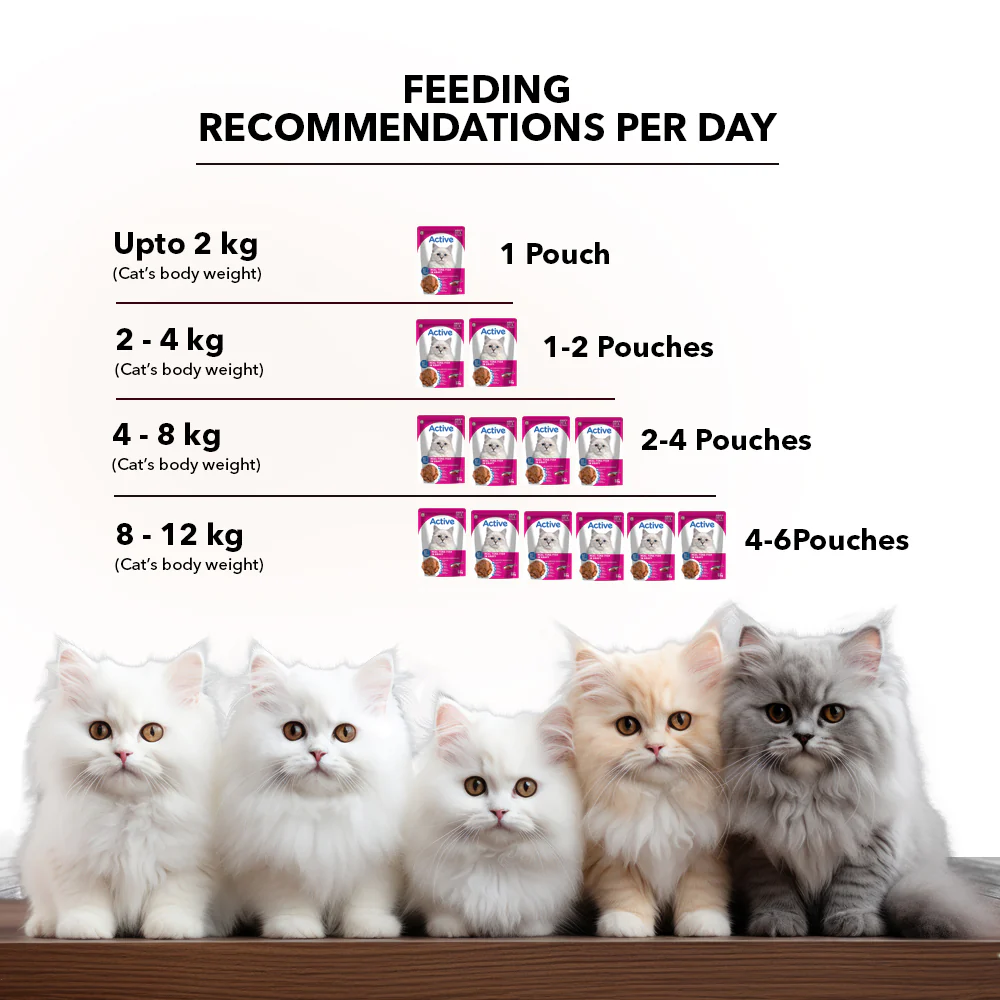 Active Real Tuna Fish in Gravy Adult Cat Wet Food (Buy 1 Get 1) - Image 7