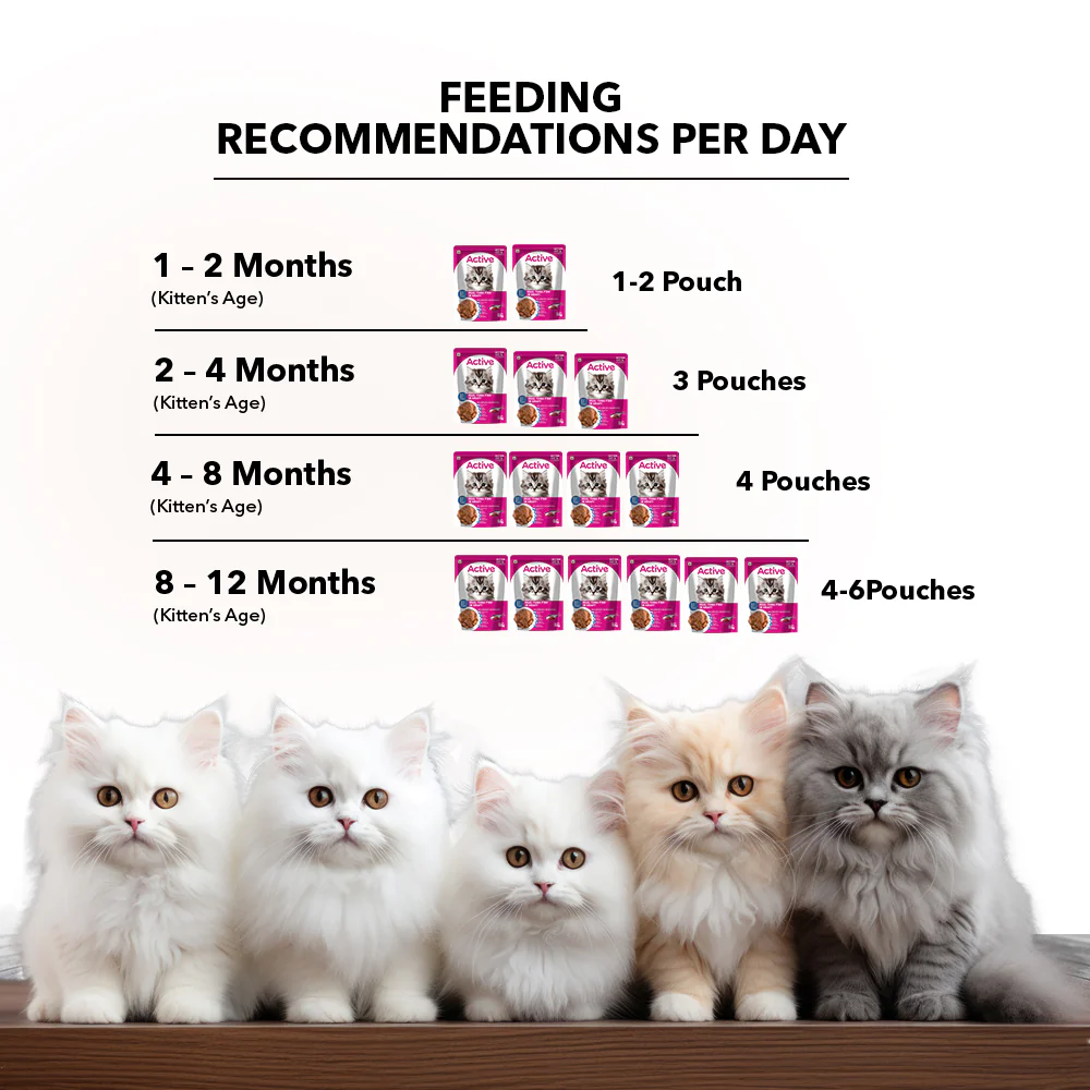 Active Real Tuna Fish in Gravy Kitten Cat Wet Food (Buy 1 Get 1) - Image 7