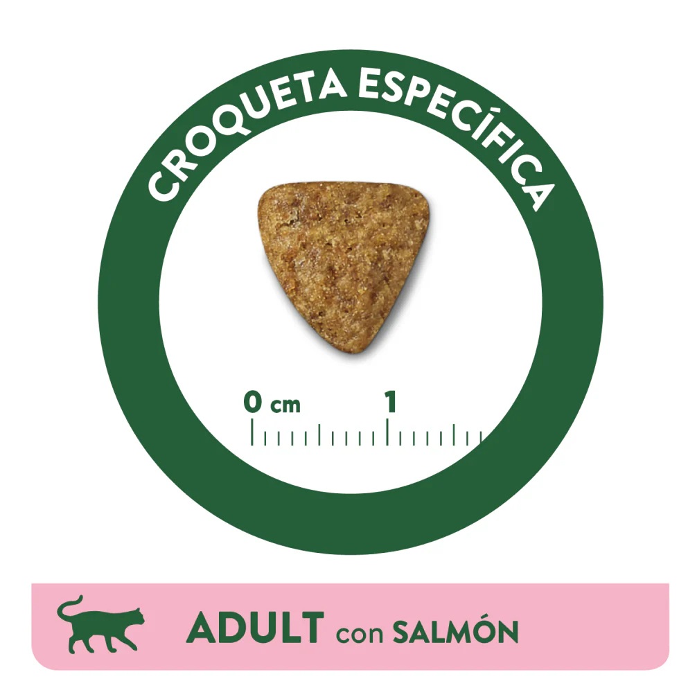 Affinity Libra Adult Cat Salmon Dry Food - Image 5
