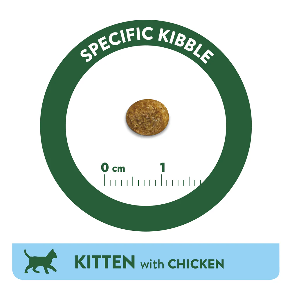 Affinity Libra Kitten Chicken Dry Food - Image 4
