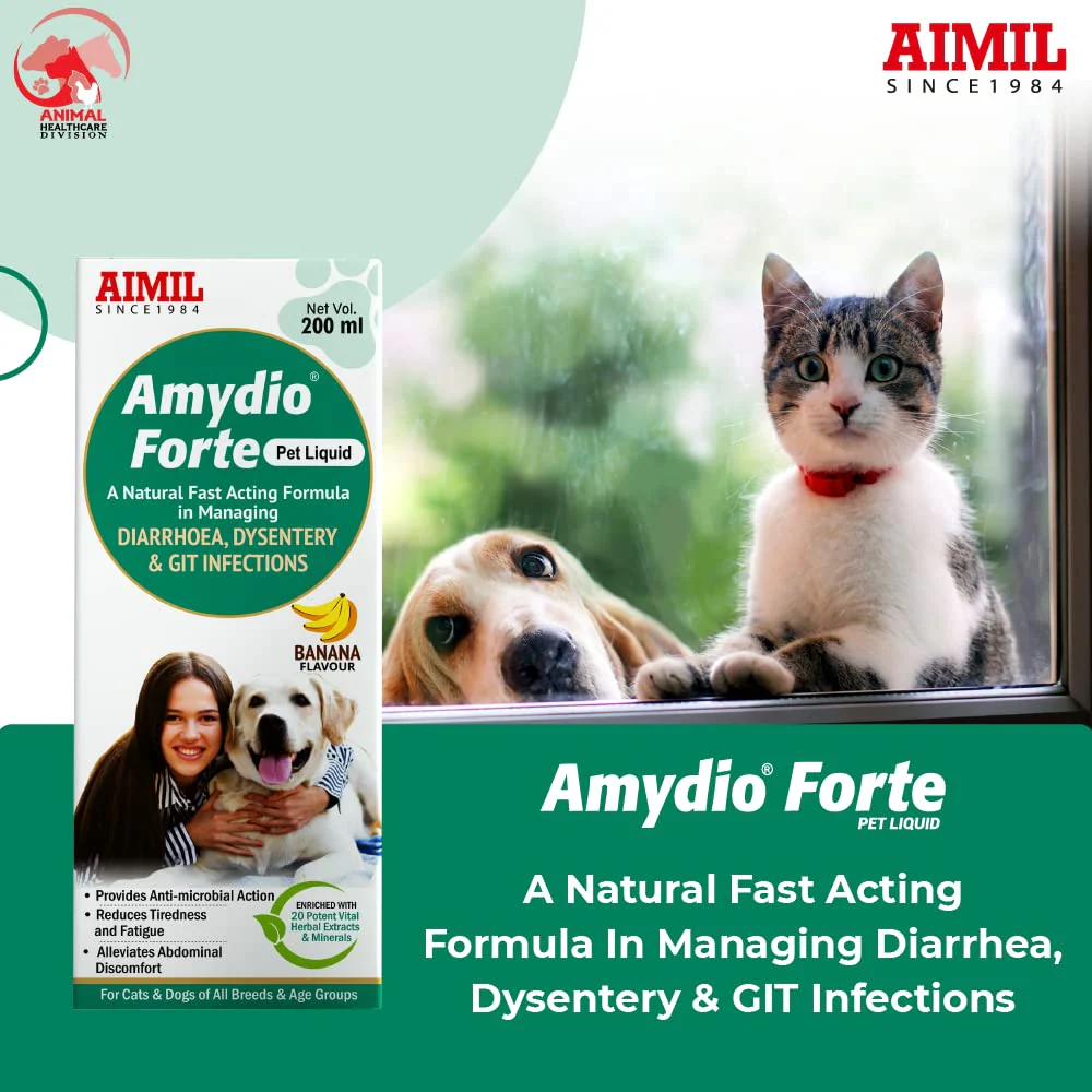 Aimil Amydio Forte Liquid Supplement for Dogs and Cats - Image 3