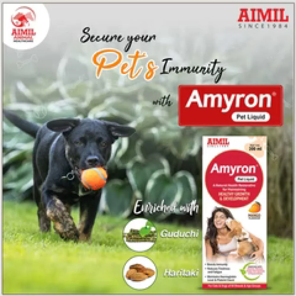 Aimil Amyron Liquid Supplement for Dogs and Cats - Image 2