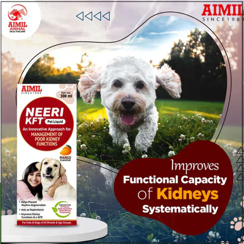 Aimil Neeri KFT Liquid Supplement for Dogs and Cats - Image 2