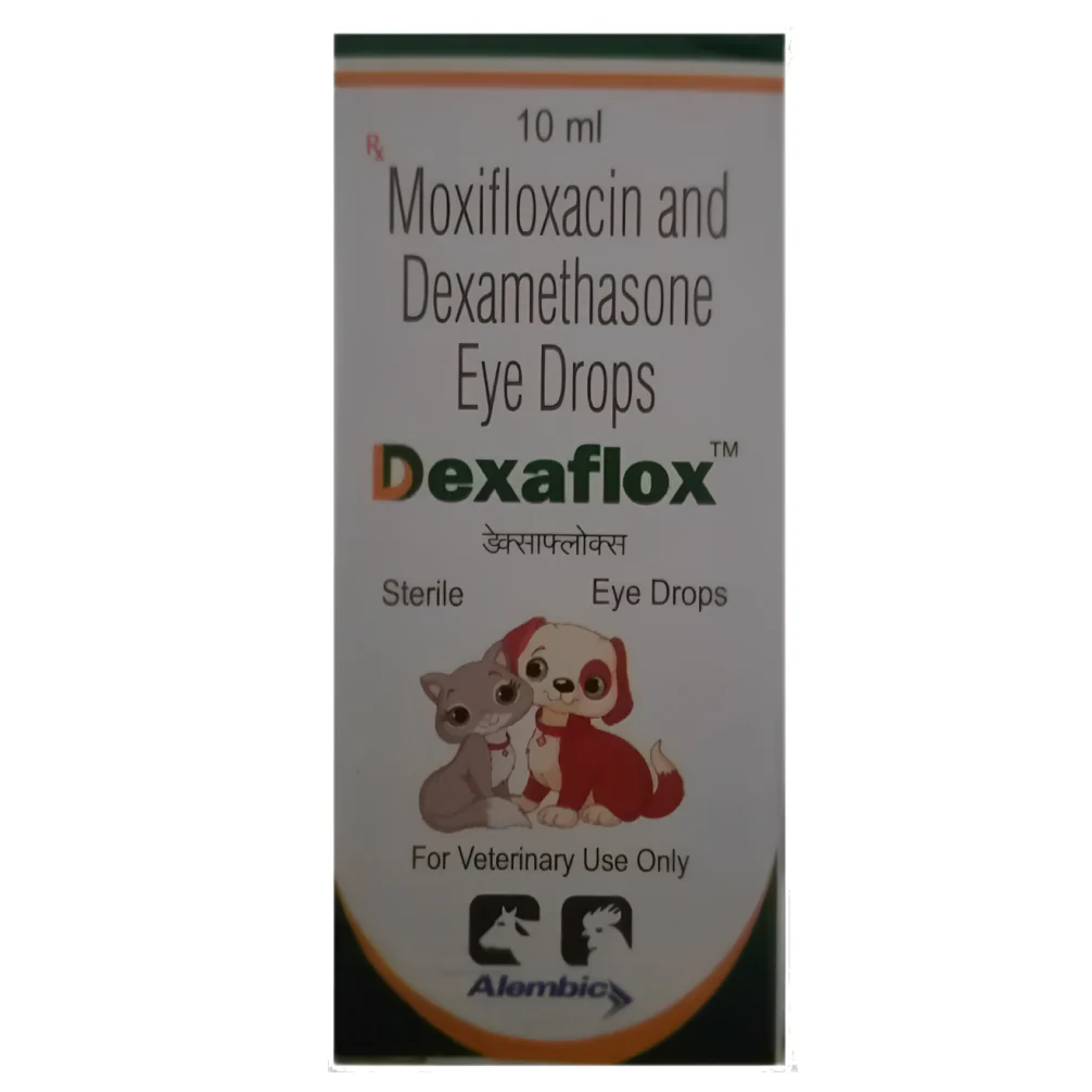 Alembic Dexaflox Eye Drops (Moxifloxacin & Dexamethasone) for Dogs and Cats - Image 2