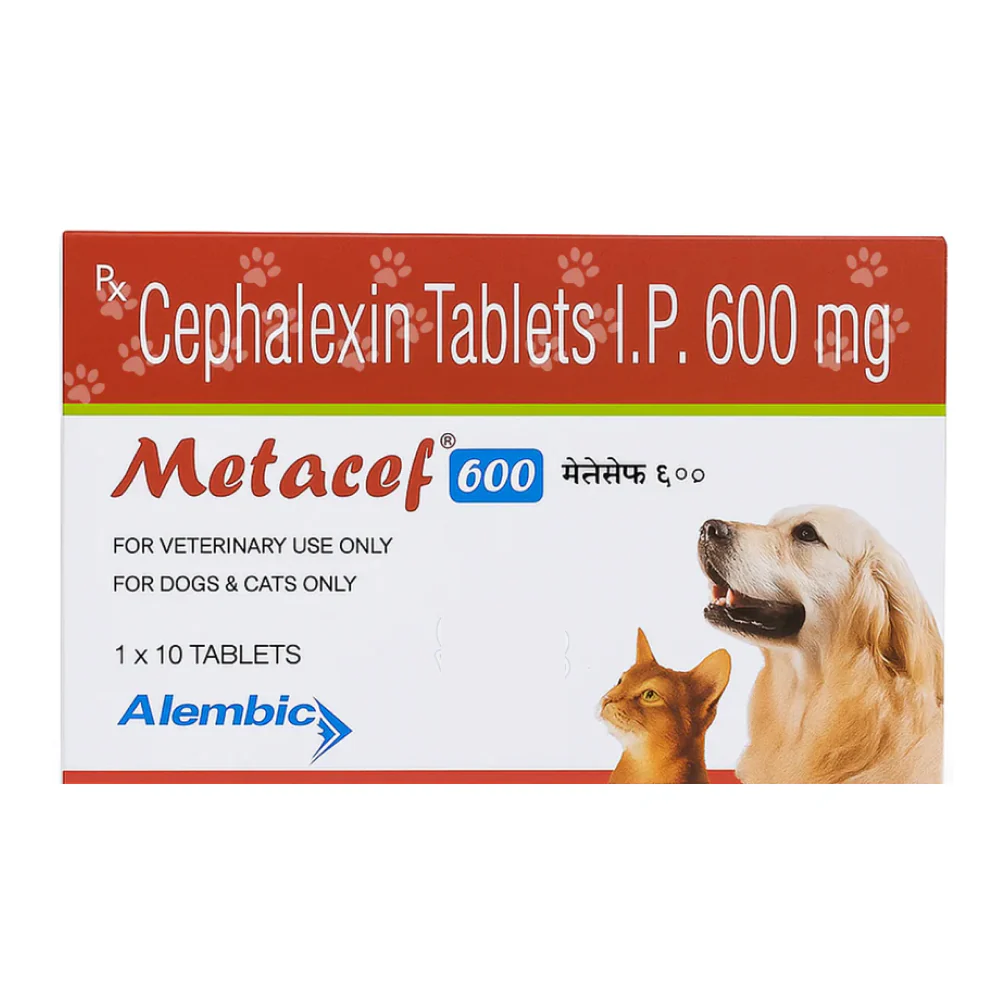Alembic Metacef (Cephalexin) 600mg Tablets for Dogs and Cats - Image 2