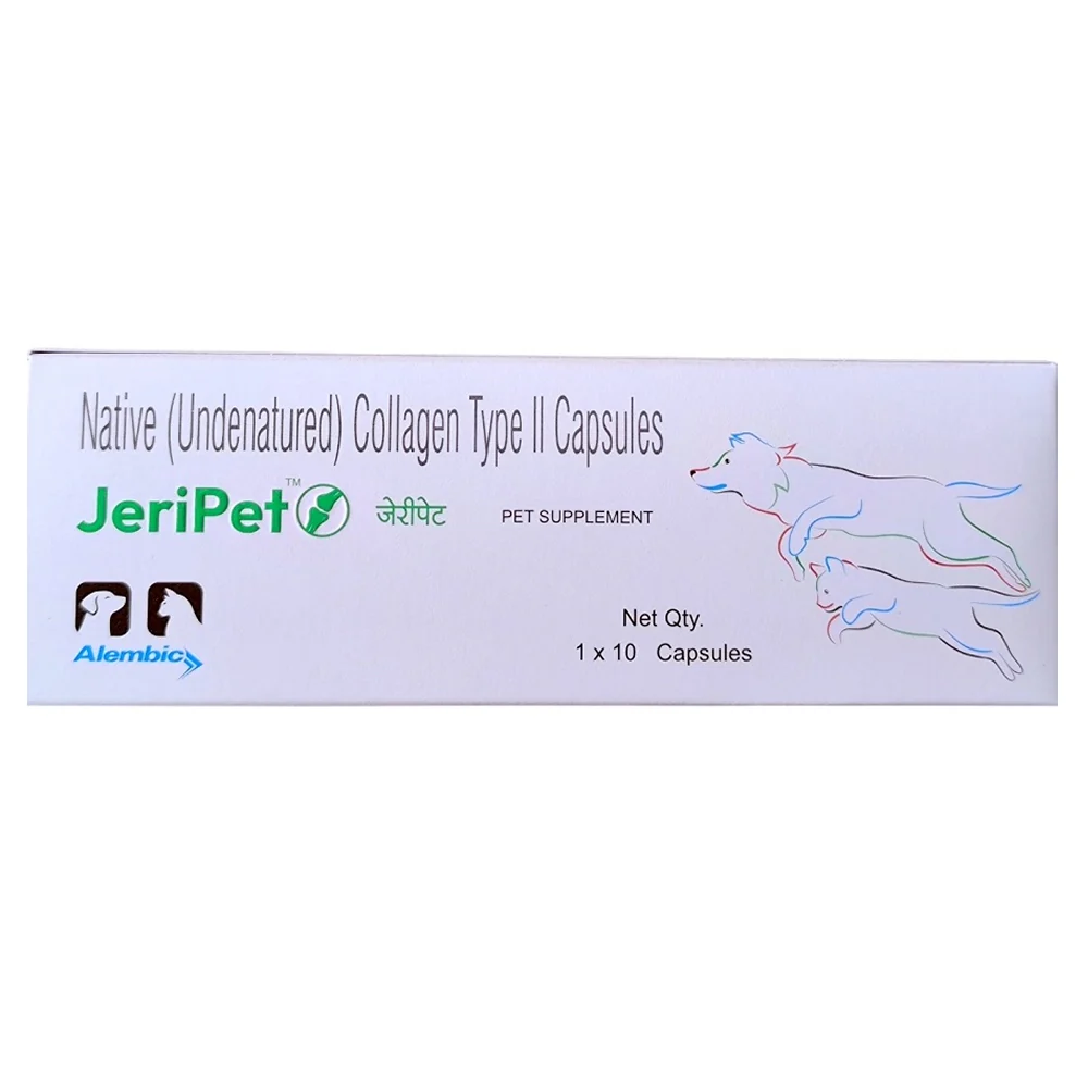 Alembic Jeri Pet Capsule Joint Health Supplement for Dogs and Cats - Image 2