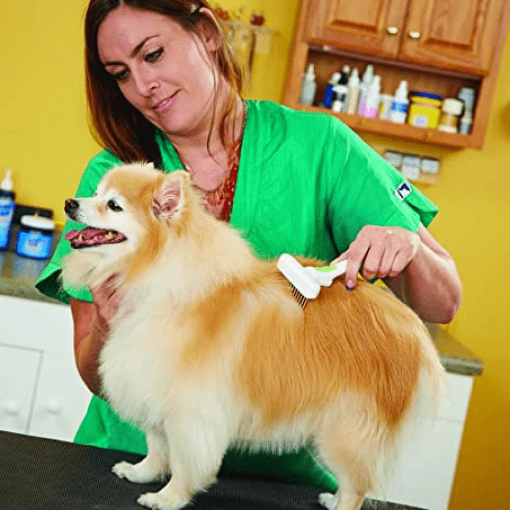 Andis Flexible Rake for Dogs (White/Lime Green) - Image 4